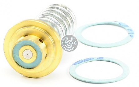 Клапанный узел X 10110-B2B